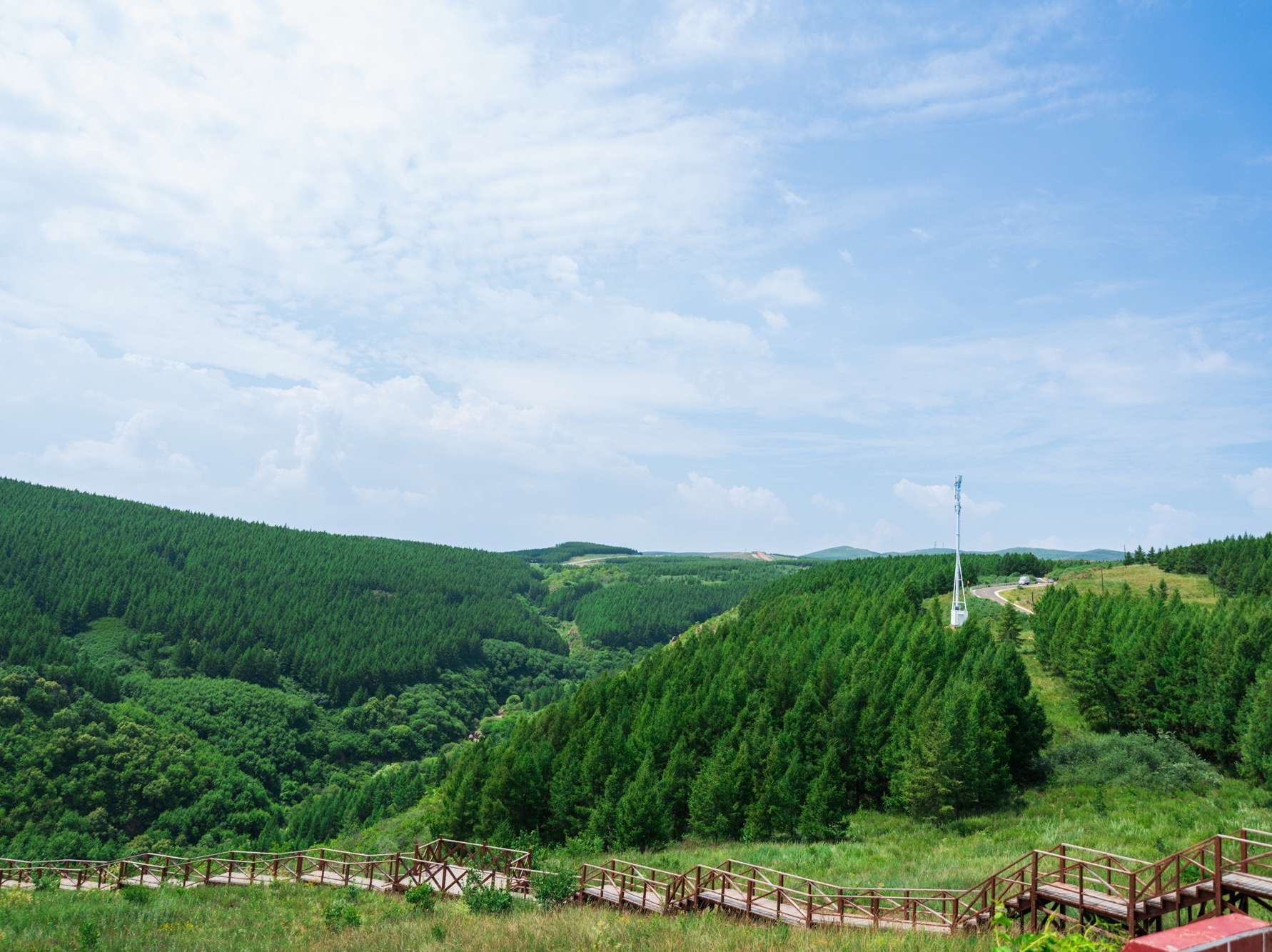 小凤凰带你看世界 的想法: 这里是尚义县大青山 78推荐理由: 青山高