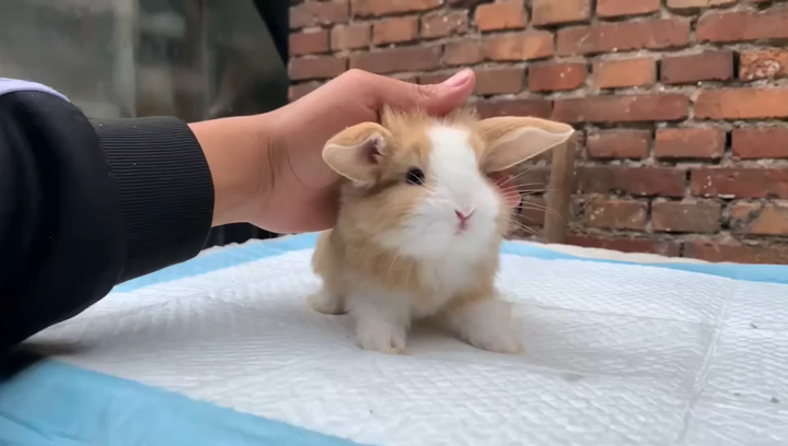 v2-a78dc56ab483a1d46c663da2c3102fa3_720w.jpg?source=1940ef5c