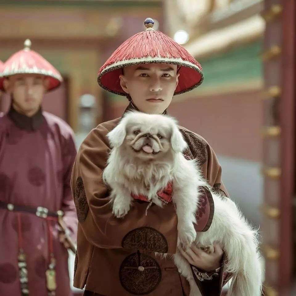 欧阳芬桃 的想法: 动作销魂的富察·明瑞 | #想法打卡挑战赛… - 知乎