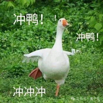 Qwen3真香！通义App满血接入，一手实测在此