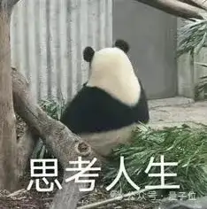 小扎自曝挖人秘诀，豪掷数百亿建全球首个 1GW+ 能耗超级计算机集群