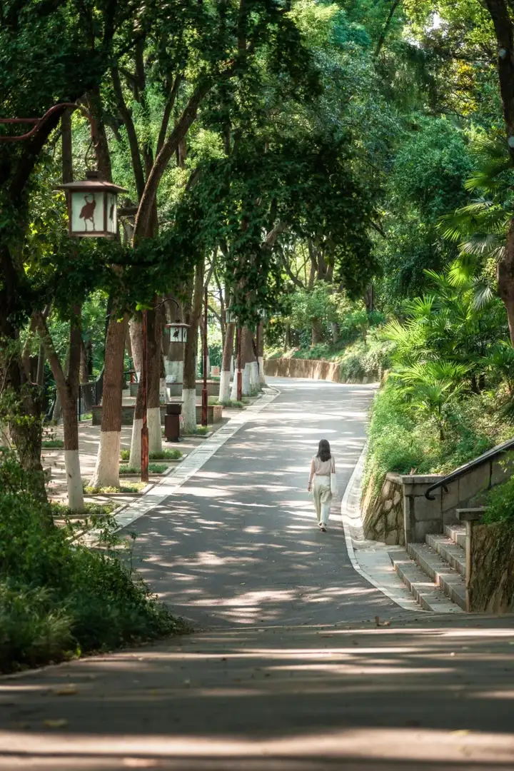 武昌旅游必去十大景点（武昌旅游攻略必去景点）