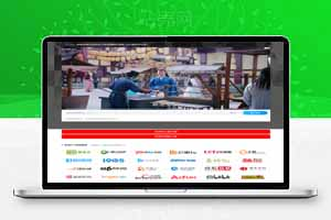 运营级二次VIP视频解析网站源码无需数据库