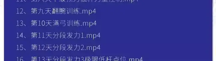 图片[6]-羽毛球篮球台球乒乓球全套高清视频教程-打羽毛球乒乓球篮球网球台球视频教程新手入门零基础动作训练课程【电商热销688】-暗冰资源网