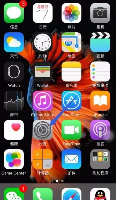 查找我的iphone在哪里（苹果开启查找功能的设置方法）