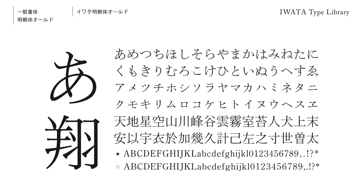 オンラインお得セール 活字 新1号 漢字 明朝体 旧字 ハンドメイド