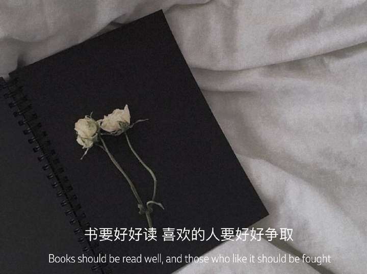 有哪些神仙句子让你记到现在的?插图8 有哪些神仙句子让你记到现在的?插图8