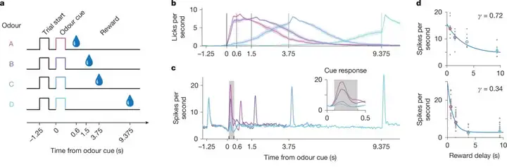 Nature：让AI自适应学习，需要先给它装个多巴胺系统吗？