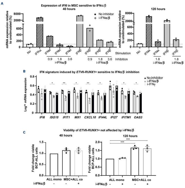 B 細(xì)胞前體急性淋巴細(xì)胞白血病在骨髓來源的間充質(zhì)基質(zhì)中引發(fā) 干擾素α/β 反應(yīng)