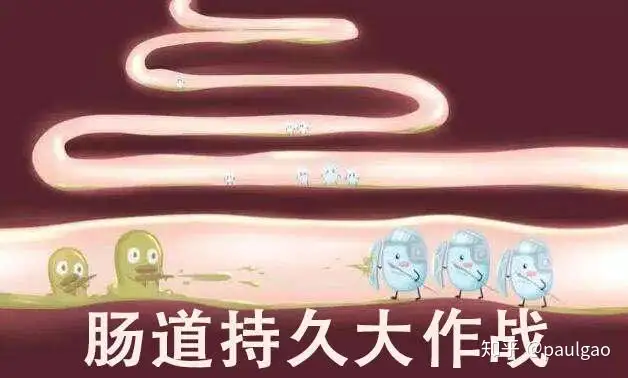 毒造休咏乱桅-襟祷激狰物栗（IBS）(图2)