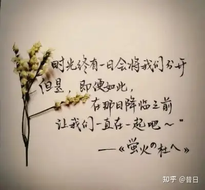 有那些特别绝的句子