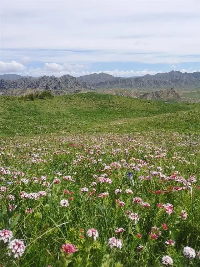 避暑旅游景点大全排名（国内最清凉避暑地是哪里）