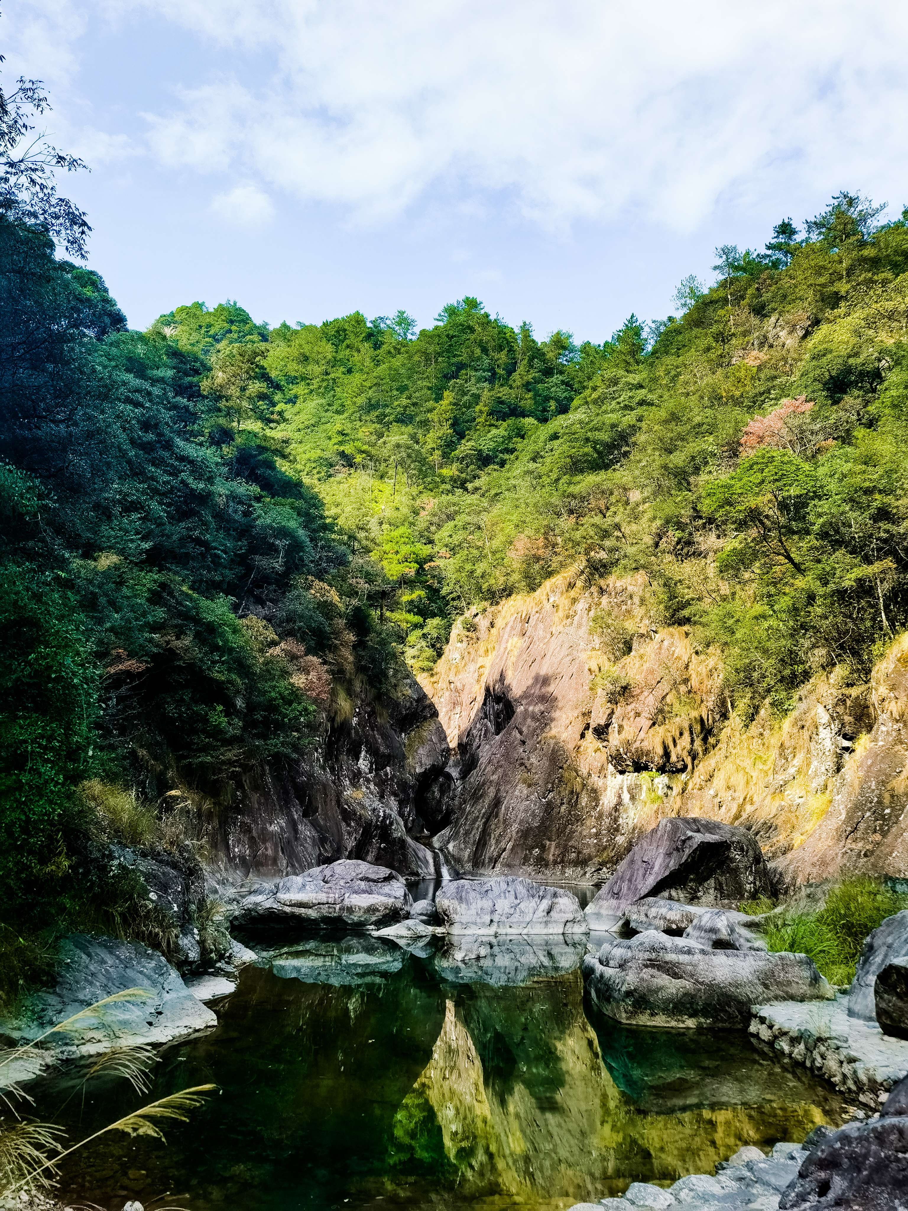 温州铜铃山森林度假村图片