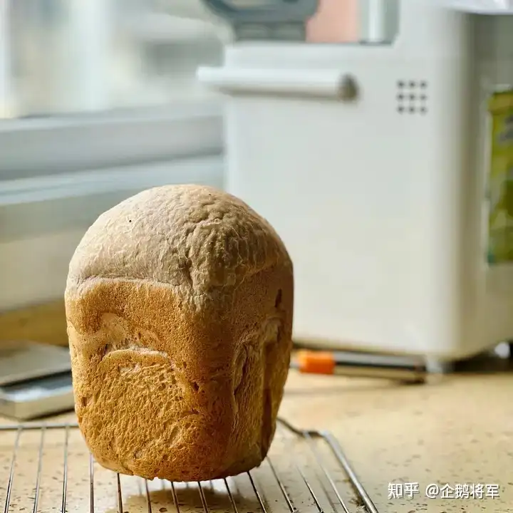 很多人为减脂选择吃全麦面包作为碳水摄入，专家却称全麦面包热量往往高于白面包，真是这样吗？