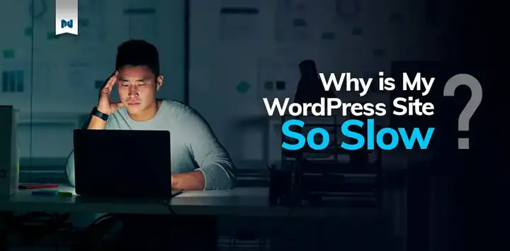 为什么你的 WordPress 网站这么慢？