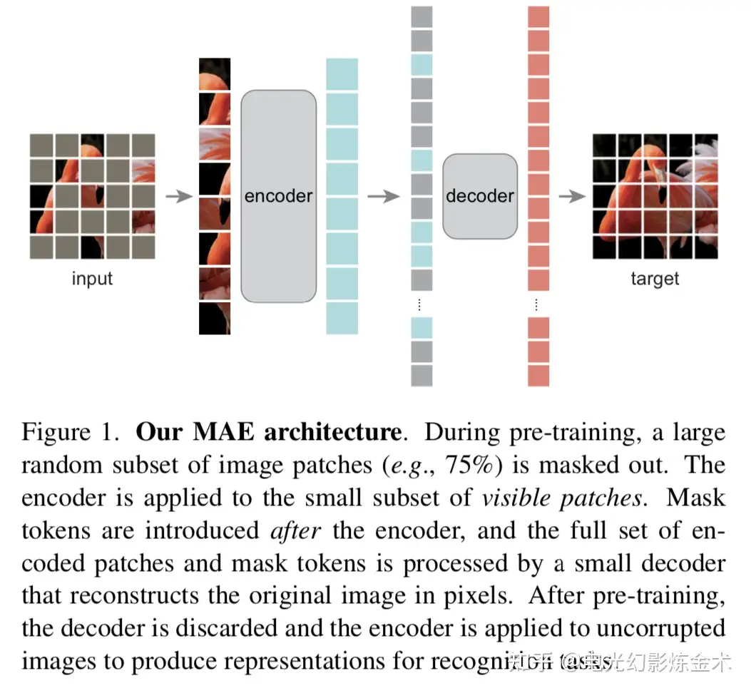 如何看待何恺明最新一作论文Masked Autoencoders？ - 电光幻影炼金术的