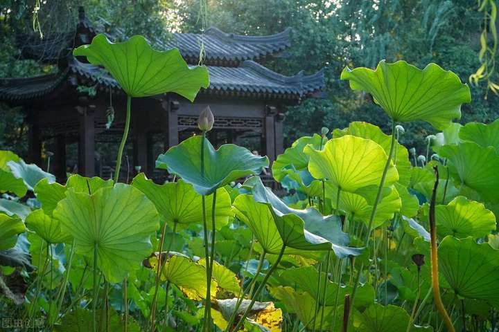 东莞旅游必去十大景点 东莞一日游必去的地方