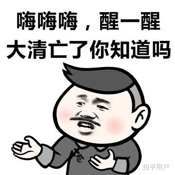 为什么李子柒可以上油管