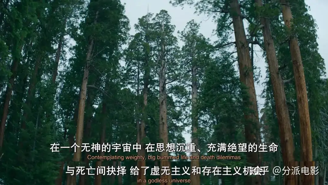 《扯淡生命史》笑到头掉,Netflix最扯纪录片太敢聊!