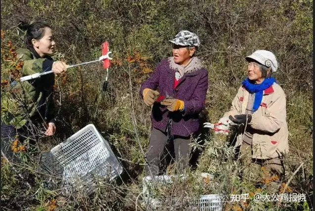 传承中医文化