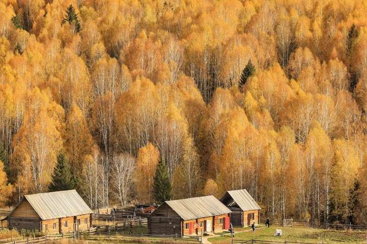 人最大的教养，不是礼貌，不是客气，而是……