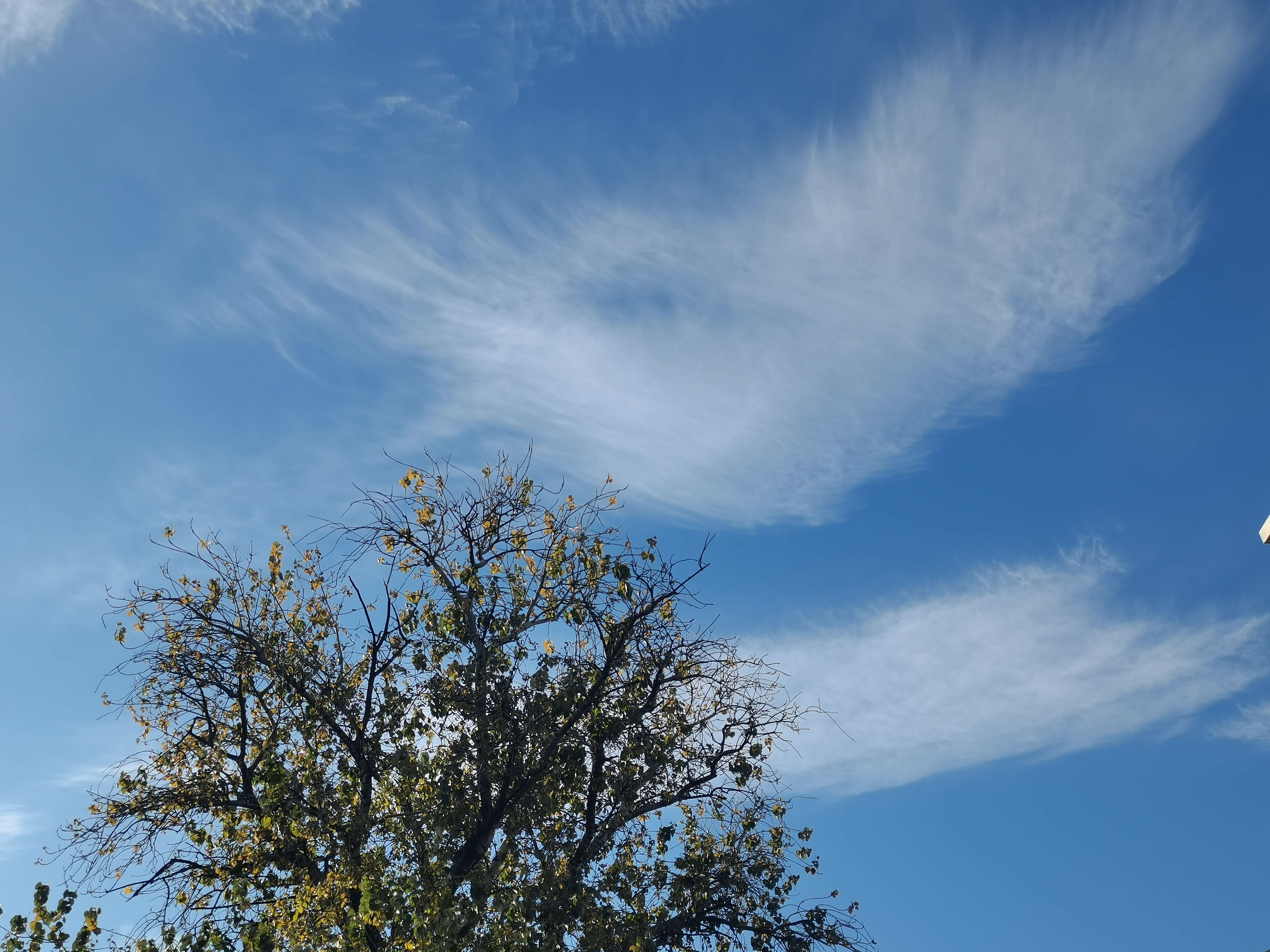 pipi29 的想法: 幽蓝的天空, 昏暗的酒店 - 知乎