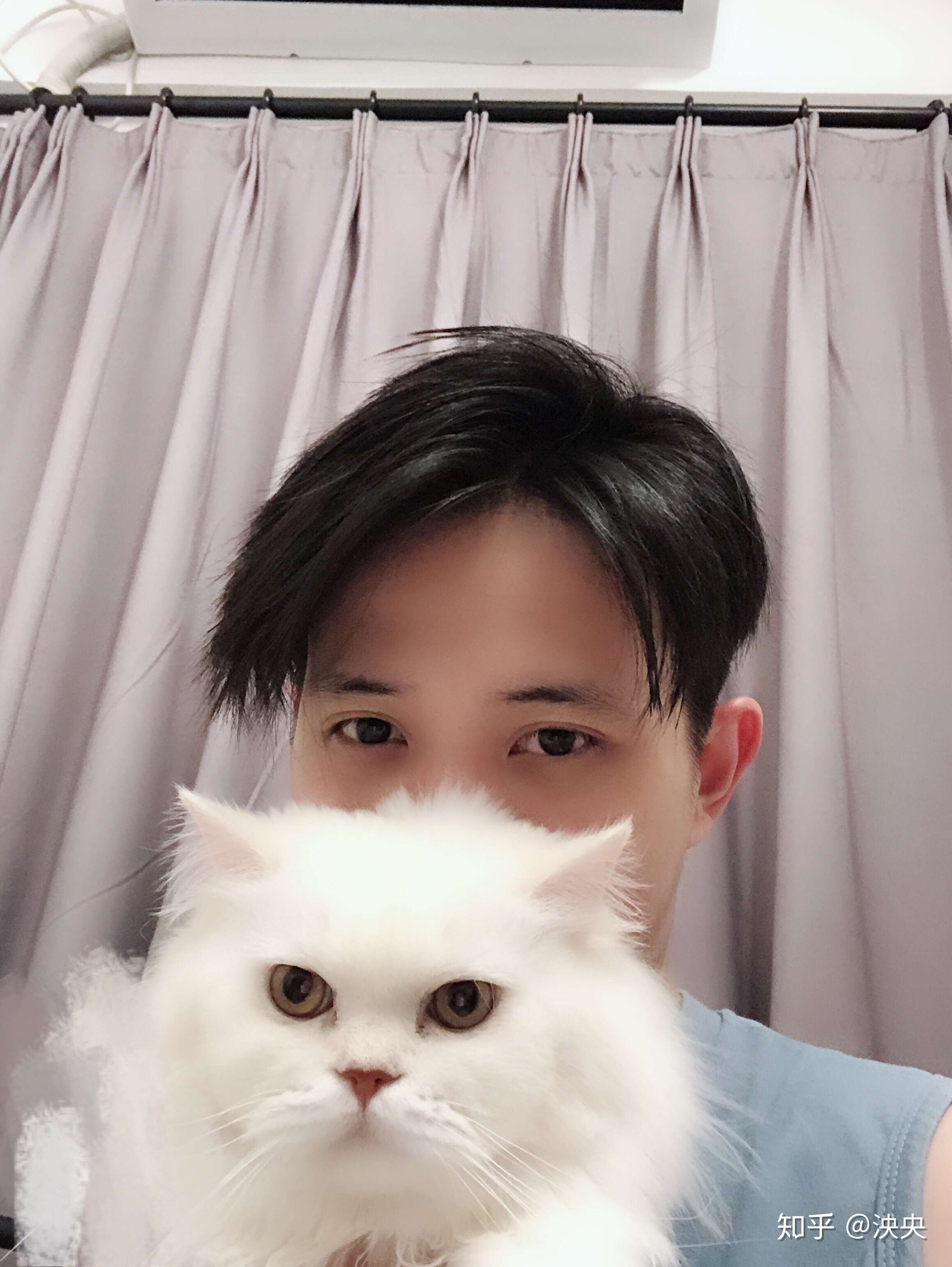 泱央 的想法: 短头发还好吗 - 知乎