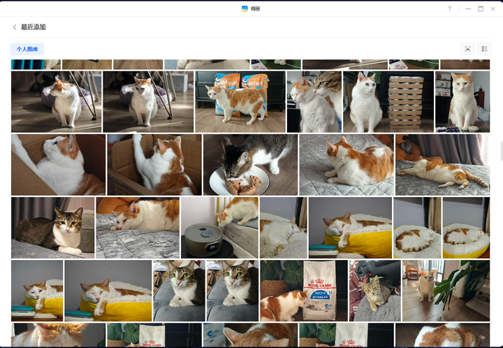 不好等失去，才拍住心口说买个NAS，未雨绸缪想到立马买才是王道