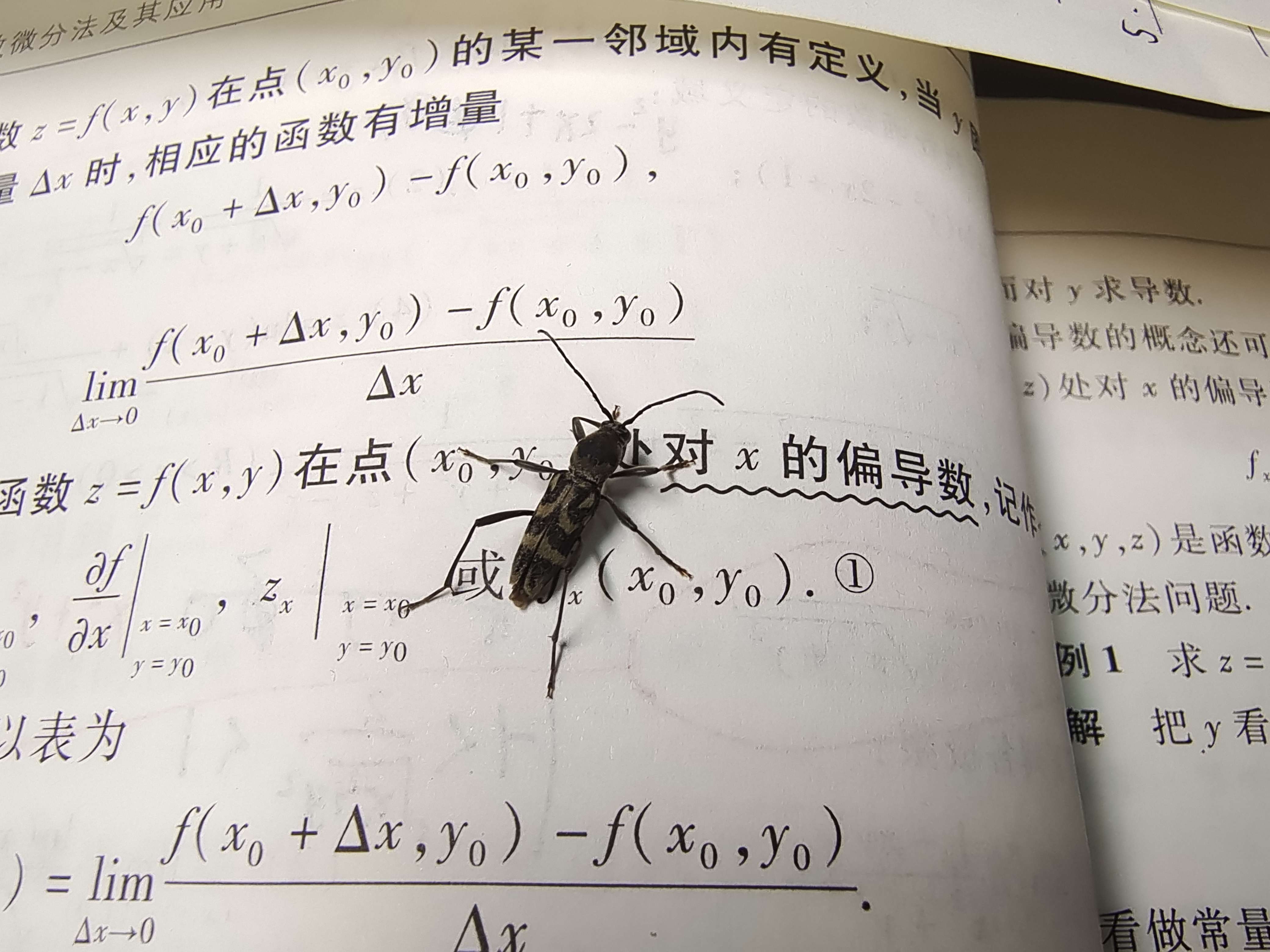 旺看天 的想法 它也渴望知识 知乎 
