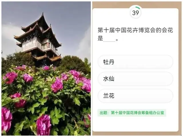 我国唐三彩属于什么技术（学习强国洛阳元素）