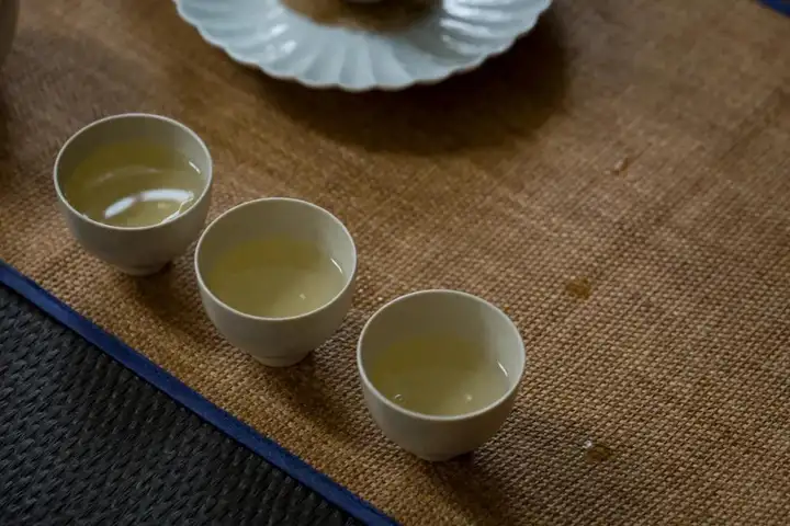 白茶属于什么茶？白茶的品种特点介绍