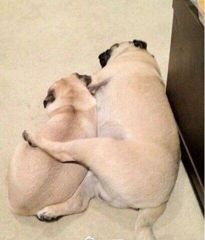 情侣之间怎样的睡姿才舒服