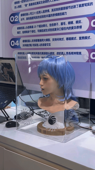 直击WAIC：大模型低调出展，机器人各出奇招