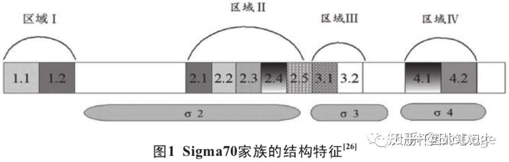 https://pica.zhimg.com/80/v2-dbdd7128899e3c2d8809935c05948a22_1440w.jpg?source=1940ef5c