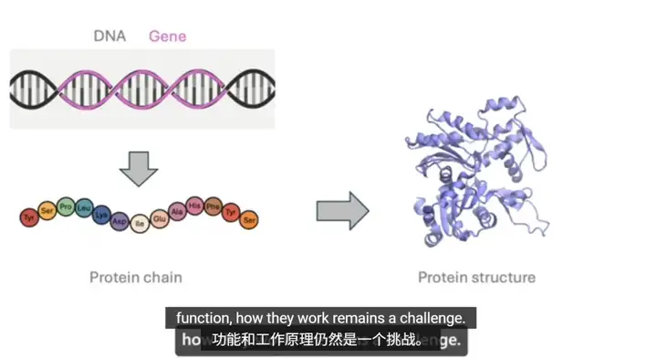 AI破译生命！微软蛋白质研究「超级加速器」登上Science