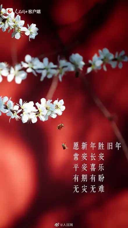 过年的祝福语有哪些？