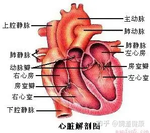 【睬衍仲剃民】先普啄心伶牵(图1)