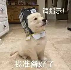 AI搜索一夜变天，专为Agent做搜索的赛道能否诞生百亿美金新巨头？