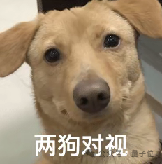 15.8万全尺寸人形抱回家！逐际动力让具身机器人也有经济适用款：31自由度，二开友好度拉满