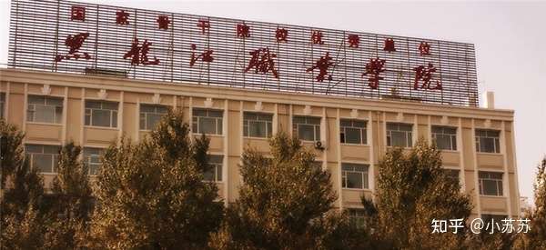 黑龙江职业学院双城图片