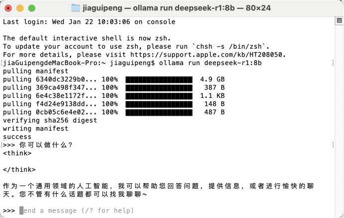 DeepSeek又被攻击，本地化部署是否安全？