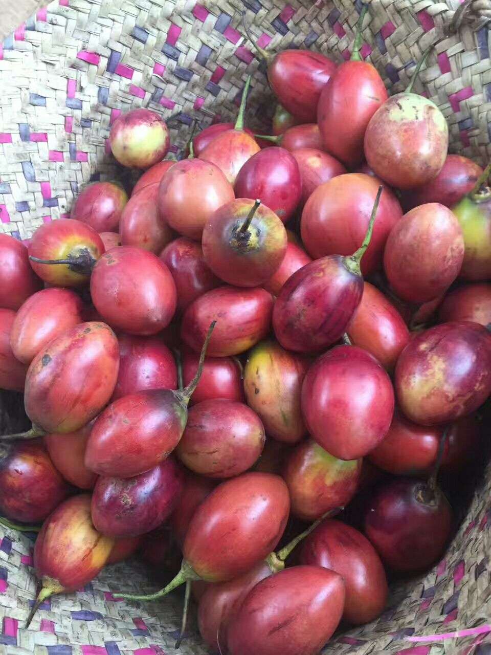 牛油果旅行 的想法: #旅行笔记# 肯尼亚这些便宜到哭的水果,… - 知乎