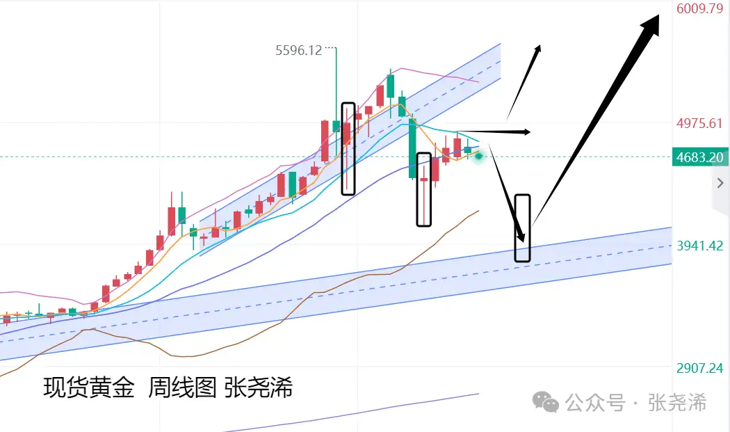 张尧浠：通胀预期引领市场前景、金价调整仍有牛市空间  。