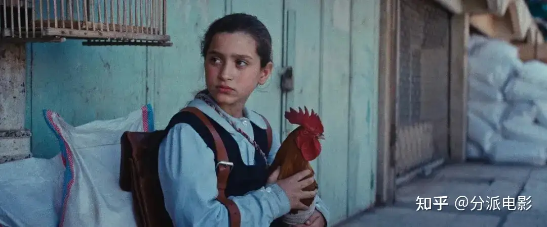 这部冷门佳片，《总统的蛋糕》烂番茄新鲜度99%