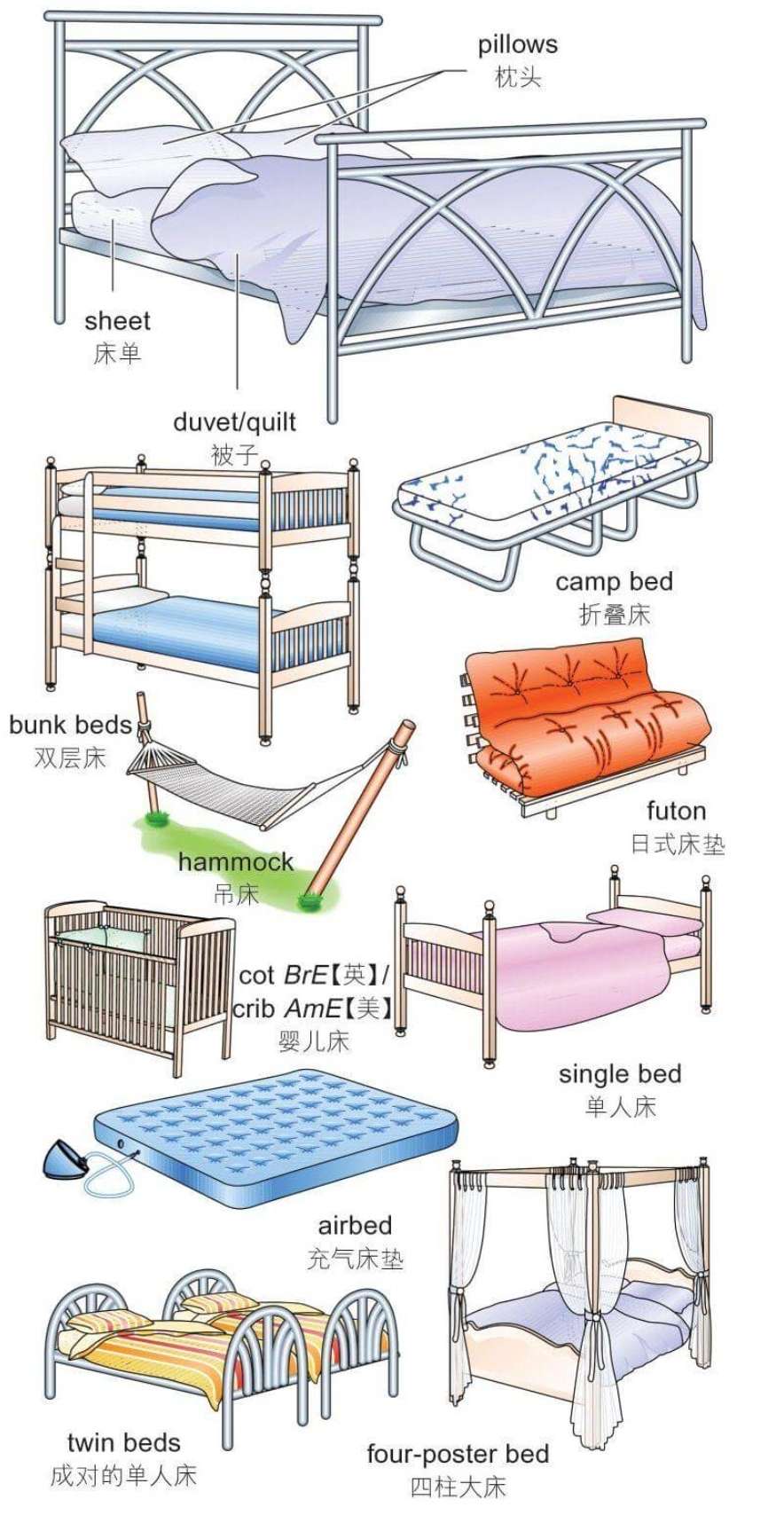 原子英语研习室 的想法: ★看图学单词★