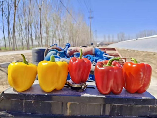 “AI二氧化碳农业系统”助力大棚农业高质量发展重塑绿色经济(图7)