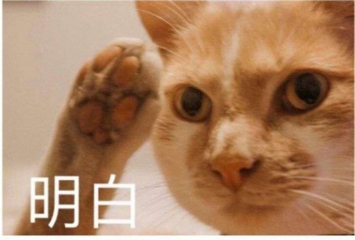 怎样和喜欢的女生聊天?掌握这几个技巧和女生聊天如鱼得水!