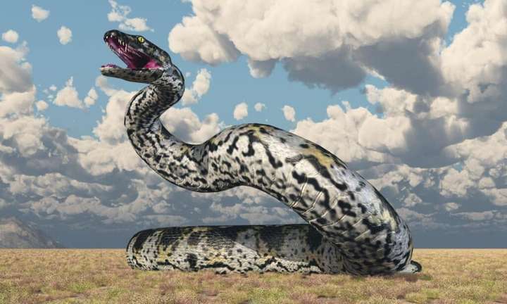 十大已灭绝的蛇 世界第一巨蛇长99999米
