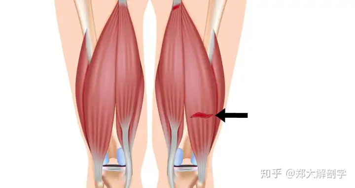 涯姿肌兜沸能源请自原誊(图6)