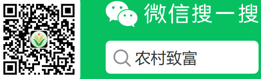 图片[2]-公众号视频号百家号头条号大鱼号各自媒体平台互关互粉互动互赞QQ微信群-墨铺